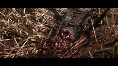 解冻在线观看完整版 第1张 解冻在线观看完整版 第1张