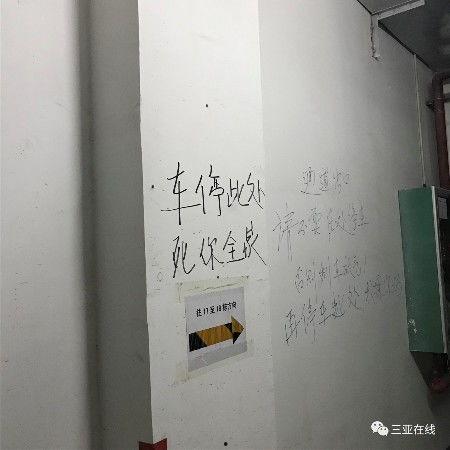 三亚网友爆料新闻,惊现神秘事件,揭秘背后真相! 第3张 三亚网友爆料新闻,惊现神秘事件,揭秘背后真相! 第3张