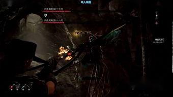 爆料杰尔乔维奇视频,揭秘背后惊人真相 第3张 爆料杰尔乔维奇视频,揭秘背后惊人真相 第3张